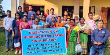 Meghalaya women affected by human-elephant conflict get training on mushroom farming