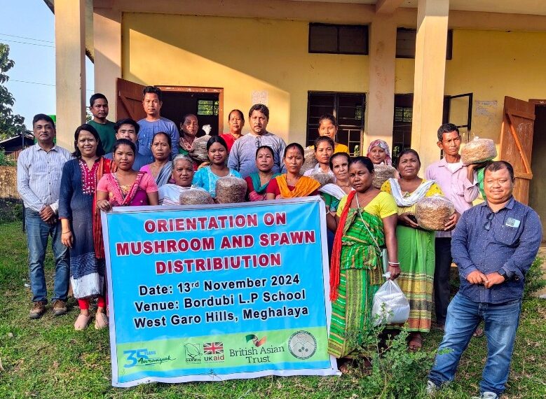Meghalaya women affected by human-elephant conflict get training on mushroom farming