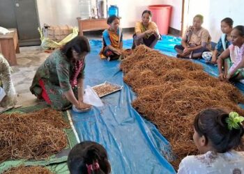 Assam: Aaranyak trains Karbi women in mushroom cultivation for sustainable livelihood