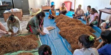 Assam: Aaranyak trains Karbi women in mushroom cultivation for sustainable livelihood