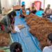 Assam: Aaranyak trains Karbi women in mushroom cultivation for sustainable livelihood