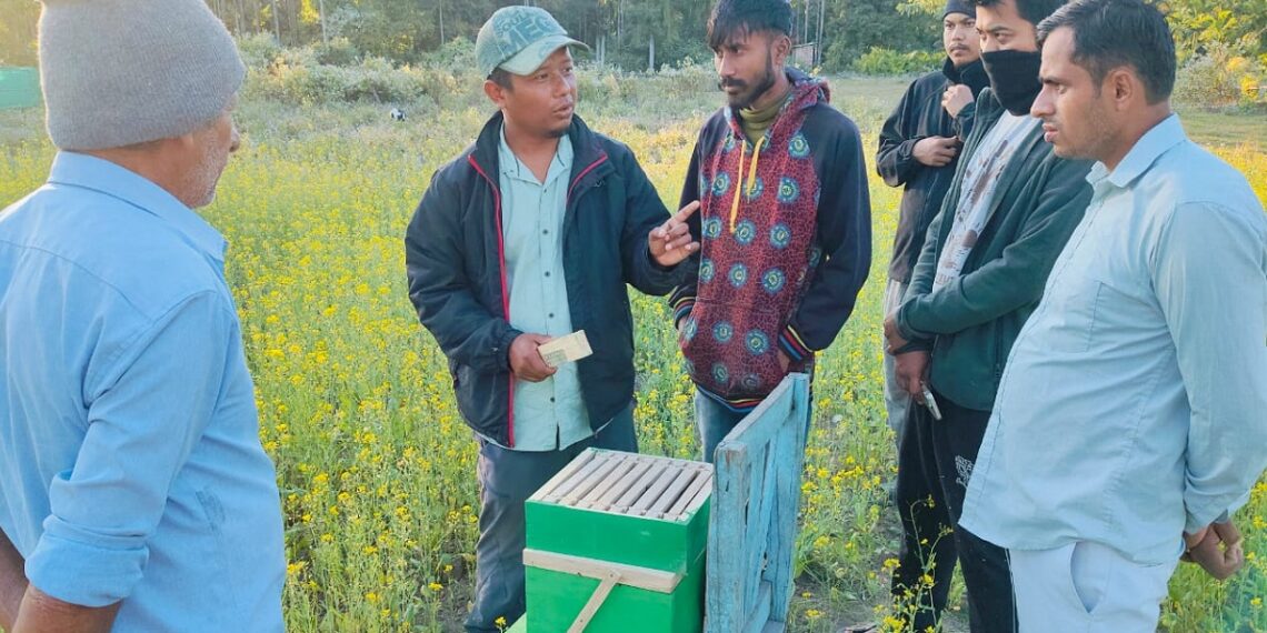 Aaranyak distributes bee-boxes to human-elephant conflict victims