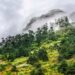 Arunachal Pradesh lost 6,539 sq km forest in last 10 years: Report