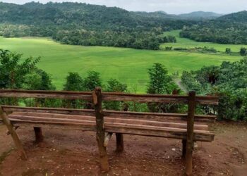 Nishangram village of Goalpara in Assam (assamtourism_/X)