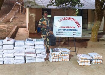 A file BSF seized cattle and contrabands worth over Rs 8 lakh in Tripura (BSF_Tripura/X)