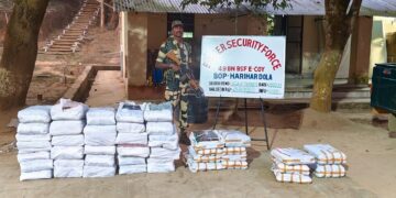 A file BSF seized cattle and contrabands worth over Rs 8 lakh in Tripura (BSF_Tripura/X)