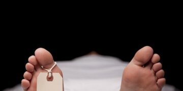 Representational image (pixabay)