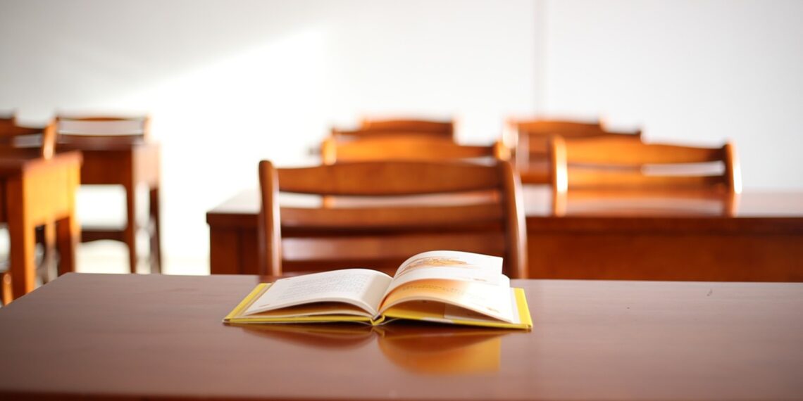 Representational image (pixabay)