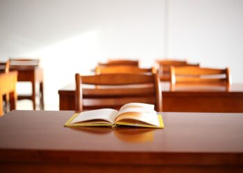 Representational image (pixabay)