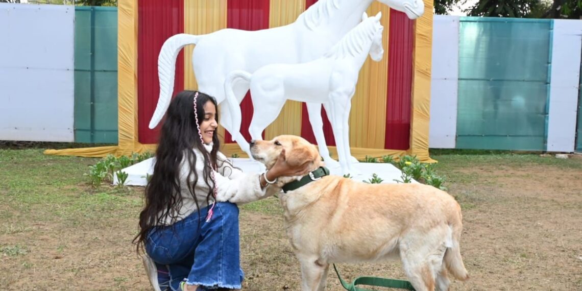 Indian Army’s silent warriors: A new chapter for retired military dogs