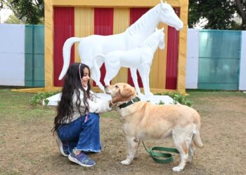 Indian Army’s silent warriors: A new chapter for retired military dogs