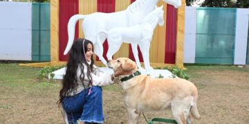 Indian Army’s silent warriors: A new chapter for retired military dogs