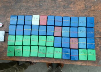 Assam Police seized 532.46 grams of heroin (himantabiswa/X)