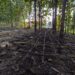 File photo of a destroyed hideout camp of a banned militants in Manipur (maanipur_police/X)