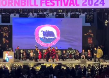 A still from the Hornbill Festival in Kisama Village, Nagaland