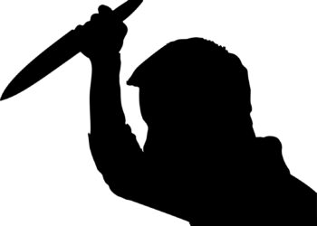 Representational image (pixabay)