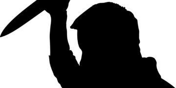 Representational image (pixabay)