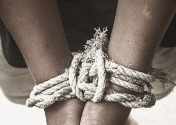 Representational image (pixabay)