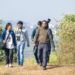 68 bird species recorded during birdwatching event at Assam’s Deepor Beel