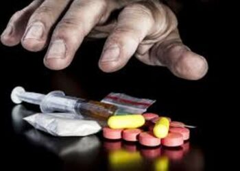 Meghalaya govt plans to introduce vocational training at rehab centres