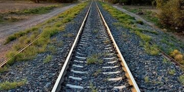 Representational image (pixabay)