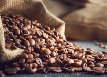 India ranks 7th in global coffee production: Commerce and Industry Ministry