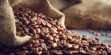 India ranks 7th in global coffee production: Commerce and Industry Ministry