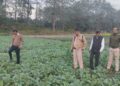 Assam’s Barpeta jail embraces agriculture: A step toward inmate rehabilitation and self-sufficiency