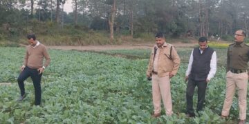 Assam’s Barpeta jail embraces agriculture: A step toward inmate rehabilitation and self-sufficiency