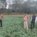 Assam’s Barpeta jail embraces agriculture: A step toward inmate rehabilitation and self-sufficiency