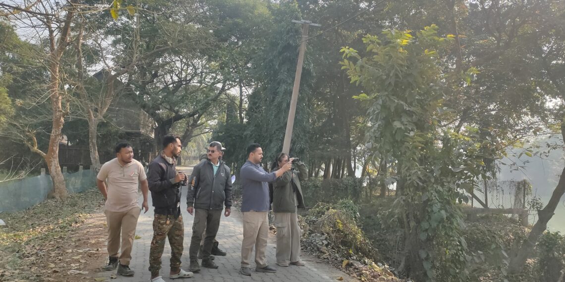 Pobitora Wildlife Sanctuary hosts 2025 Asian Water Bird Census with expert participation