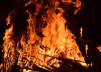 Representational image (pixabay)