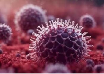 HMPV cases: Mizoram govt constitutes committee to monitor spread of virus