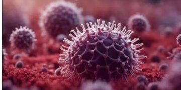 HMPV cases: Mizoram govt constitutes committee to monitor spread of virus