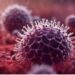 HMPV cases: Mizoram govt constitutes committee to monitor spread of virus