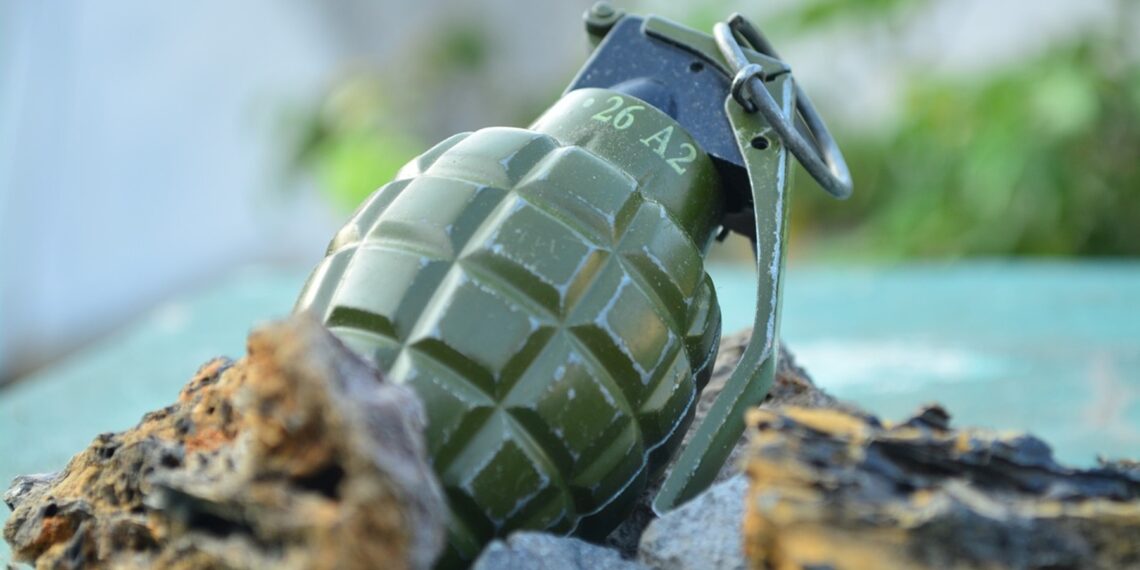 Representational image (pixabay)