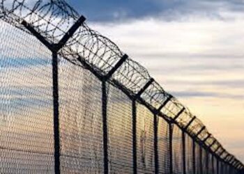 Nagaland’s apex body ‘Tenyimi Union Nagaland’ opposes fencing of Indo-Myanmar border