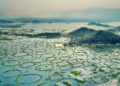 Manipur govt steps up conservation efforts for Loktak Lake