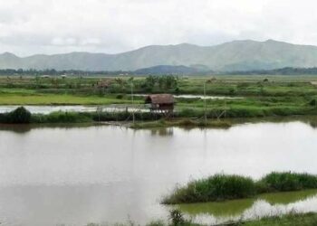 IFM urges Manipur CM to implement ‘MCPLWA 2024’ for protection of paddy land & wetland
