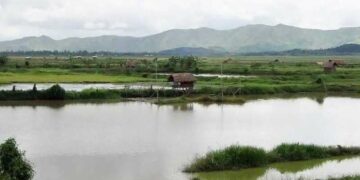 IFM urges Manipur CM to implement ‘MCPLWA 2024’ for protection of paddy land & wetland