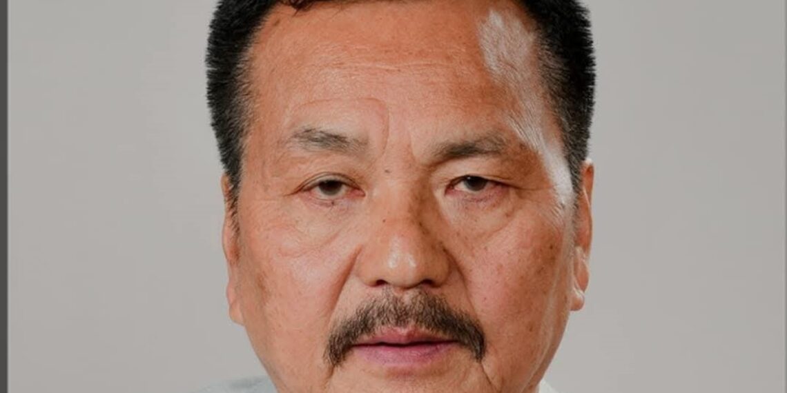 MLA N Kayisii (ShahNawazKhanMM/X)