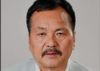 MLA N Kayisii (ShahNawazKhanMM/X)