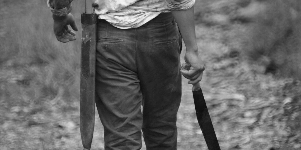 Representational image (pixabay)