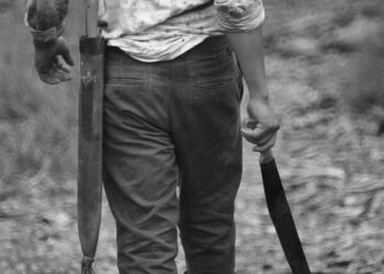 Representational image (pixabay)