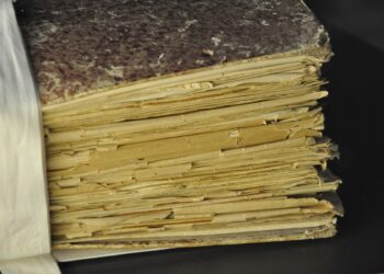 Representational image (pixabay)