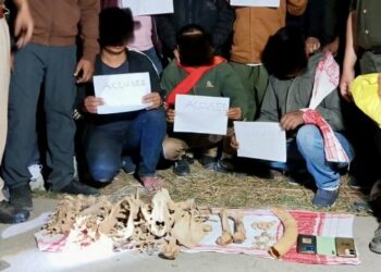 Assam police arrests 3 persons in Nagaon for possession of animal parts
