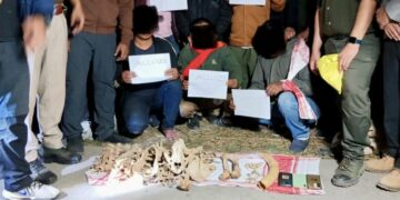 Assam police arrests 3 persons in Nagaon for possession of animal parts