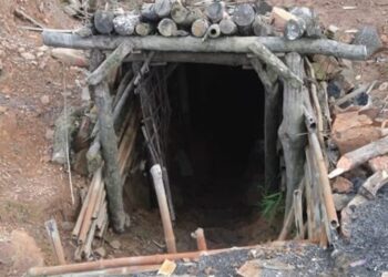 One of the rat-hole mines in Margherita, Assam (SinghReetam/X)