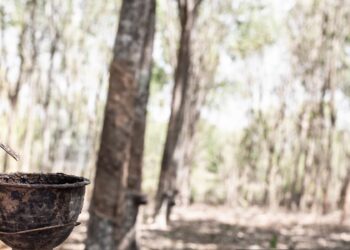 Representational image (pixabay)