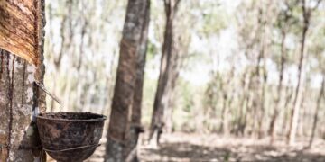 Representational image (pixabay)